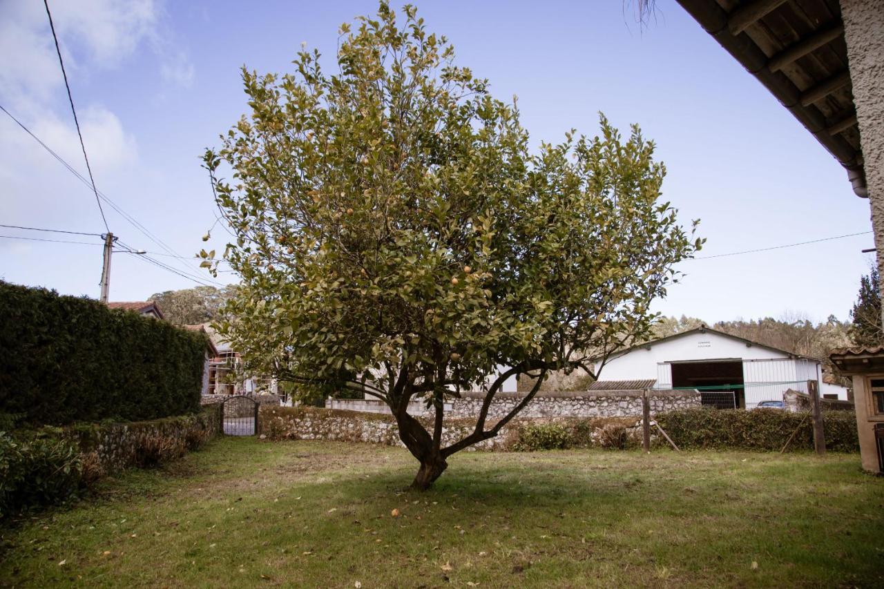 El Vallau Villa Balmori Dış mekan fotoğraf